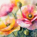 Poppies in Bloom III